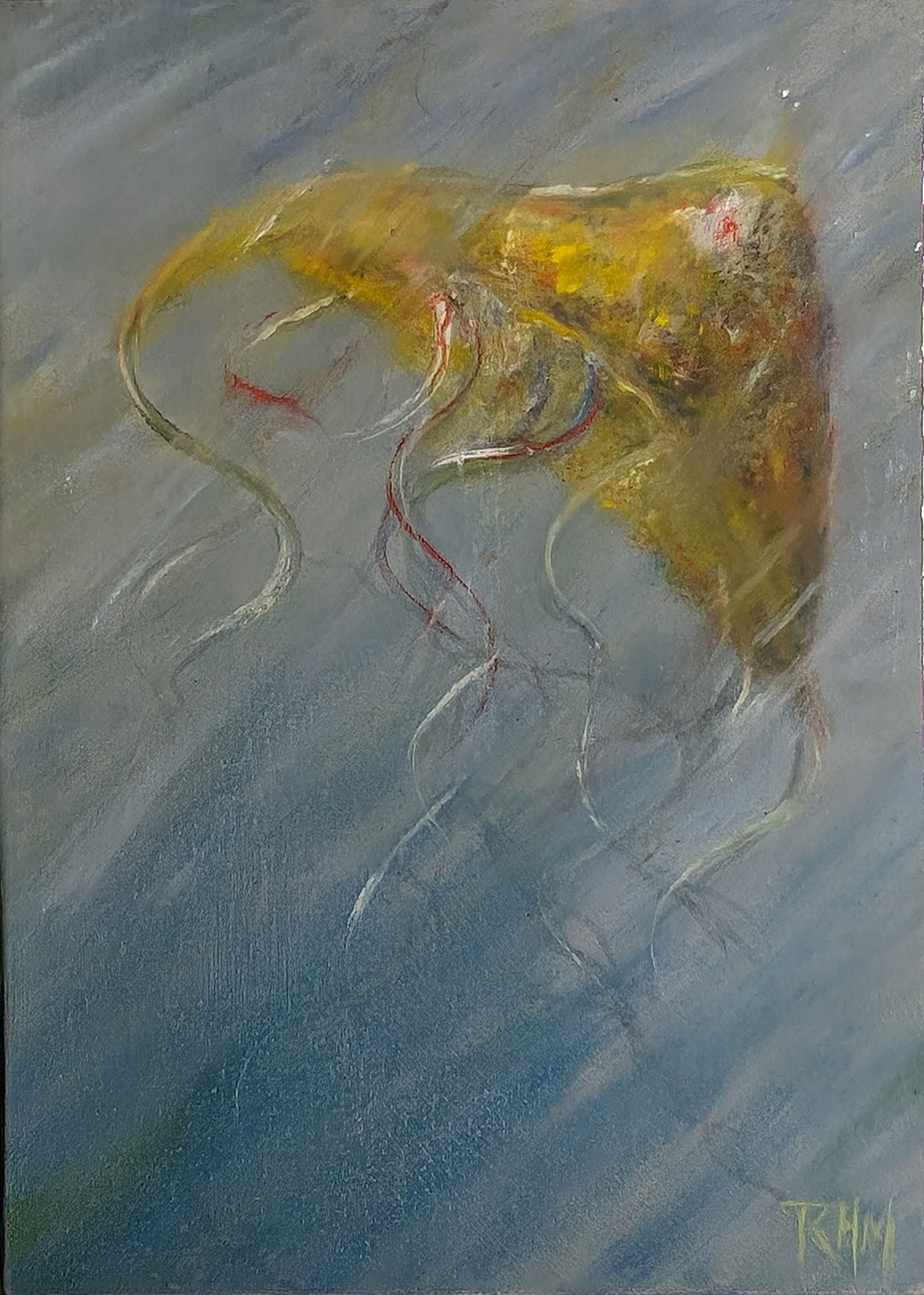 Jellyfish