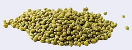 Porotos mung agroecologicos x 500 gr