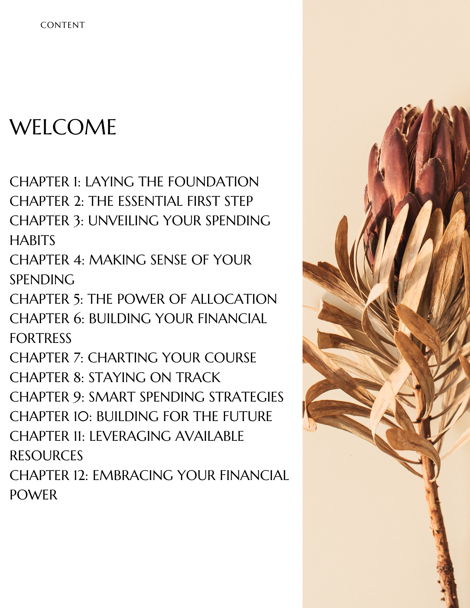 Budgeting and Financial Planning for Single-Income Households 