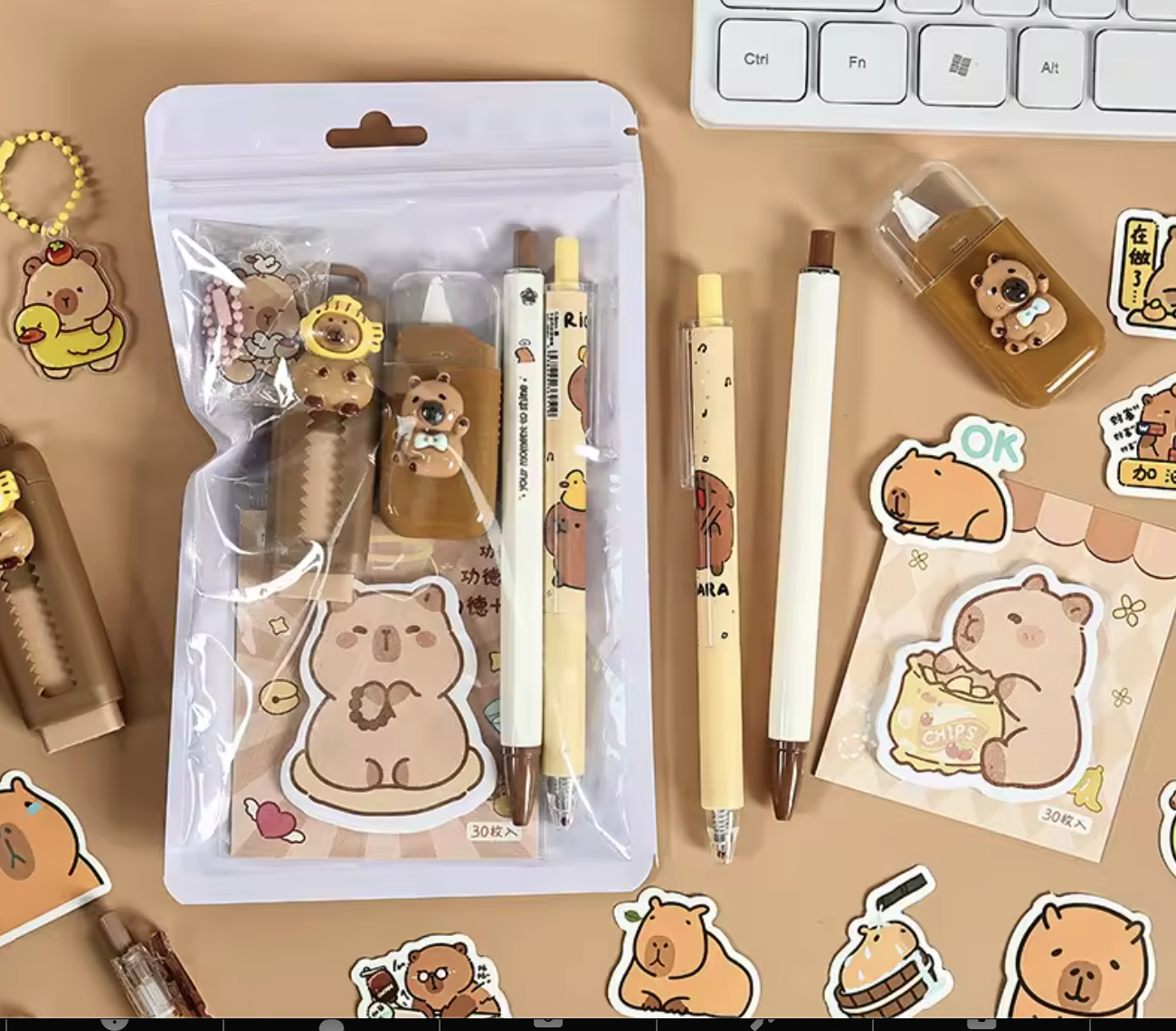 Capybara Stationery Set for Kids - Kawaii School Supplies Gift Box