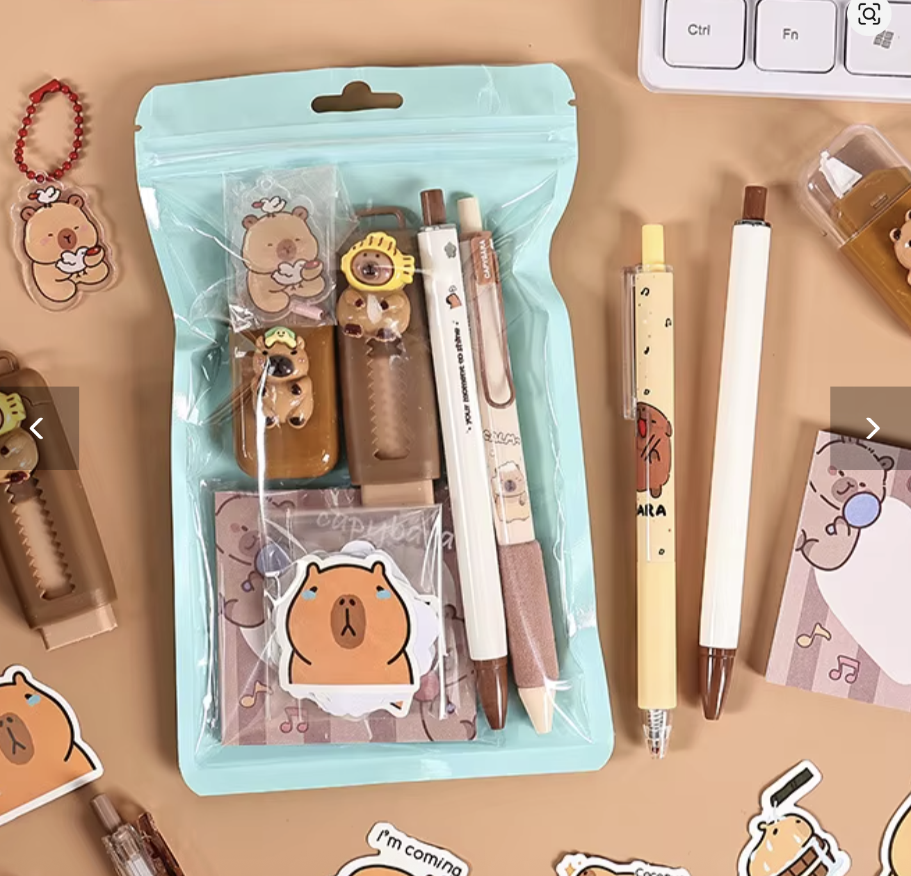 Capybara Stationery Set for Kids - Kawaii School Supplies Gift Box