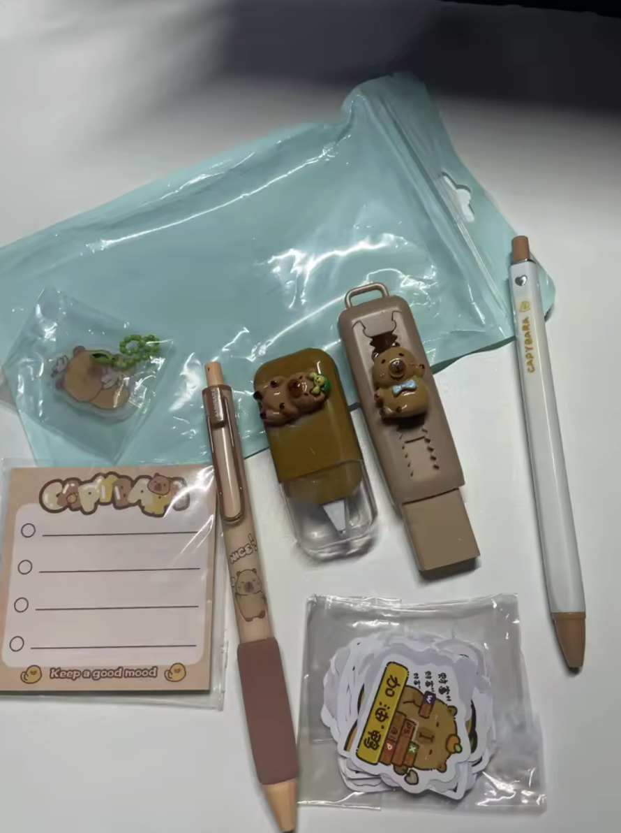 Capybara Stationery Set for Kids - Kawaii School Supplies Gift Box