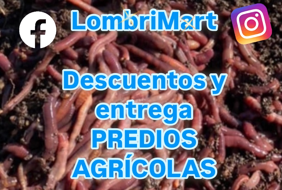 Humus, lixiviado y pie de cria