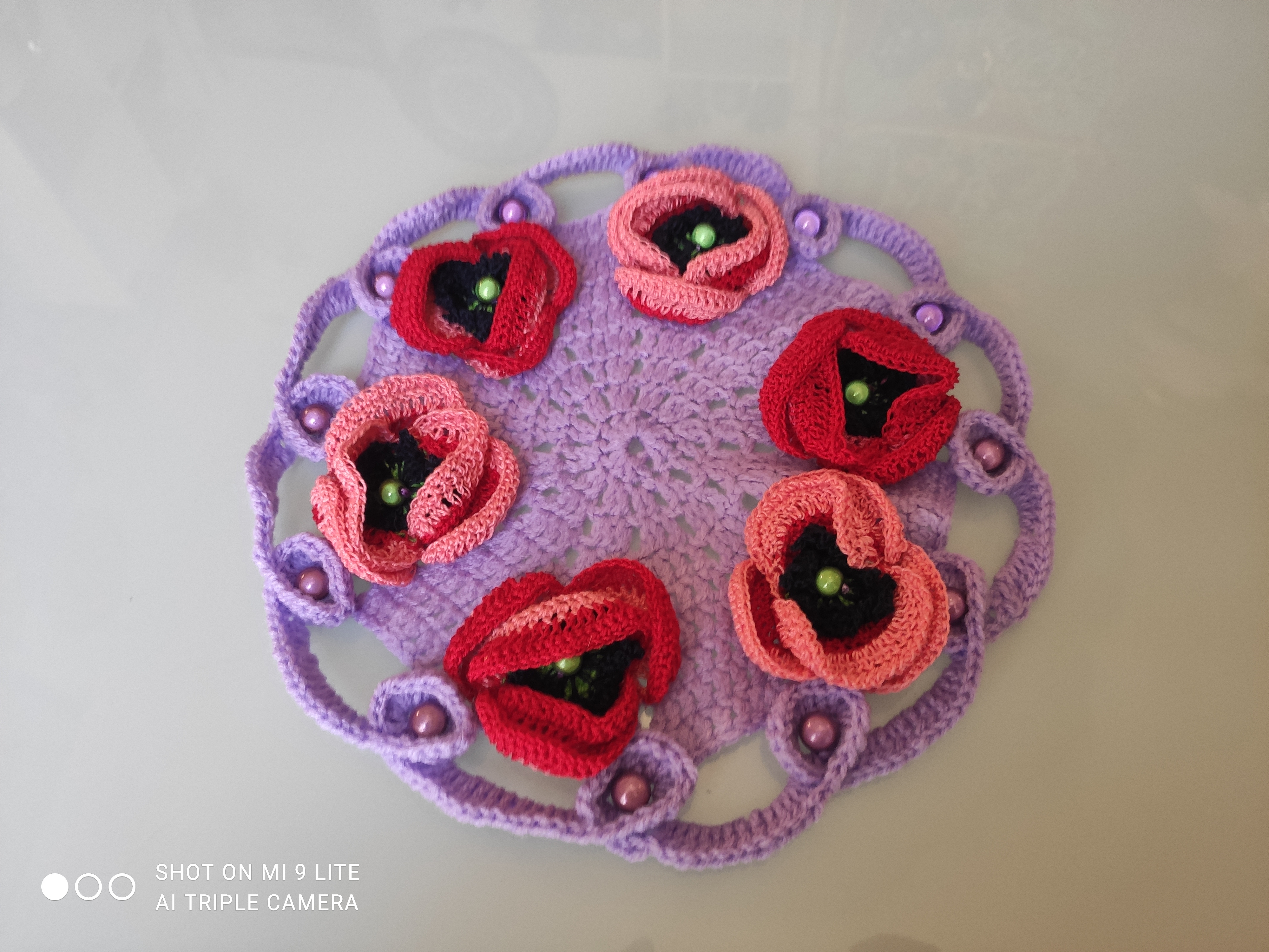 Coquelicots des Alpes