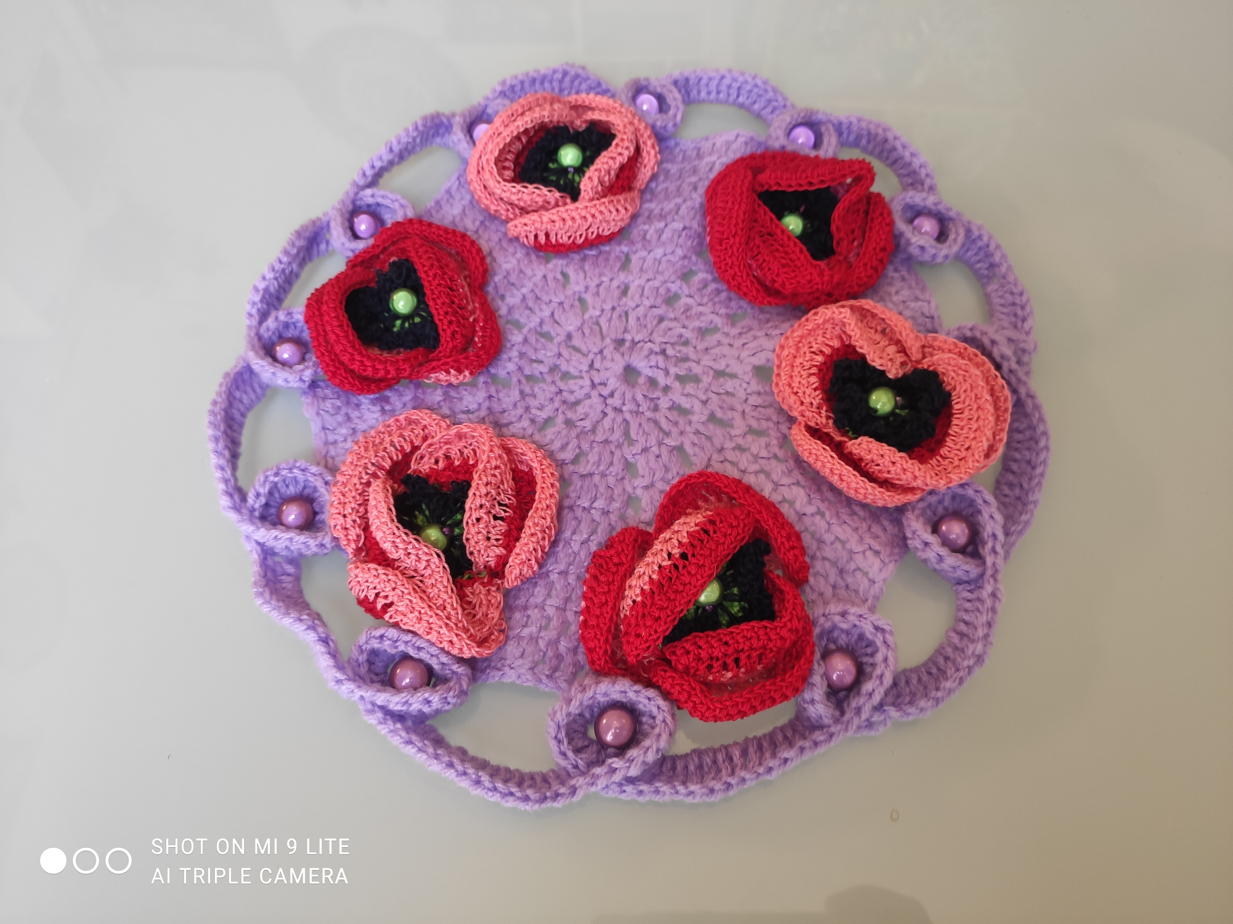 Coquelicots des Alpes