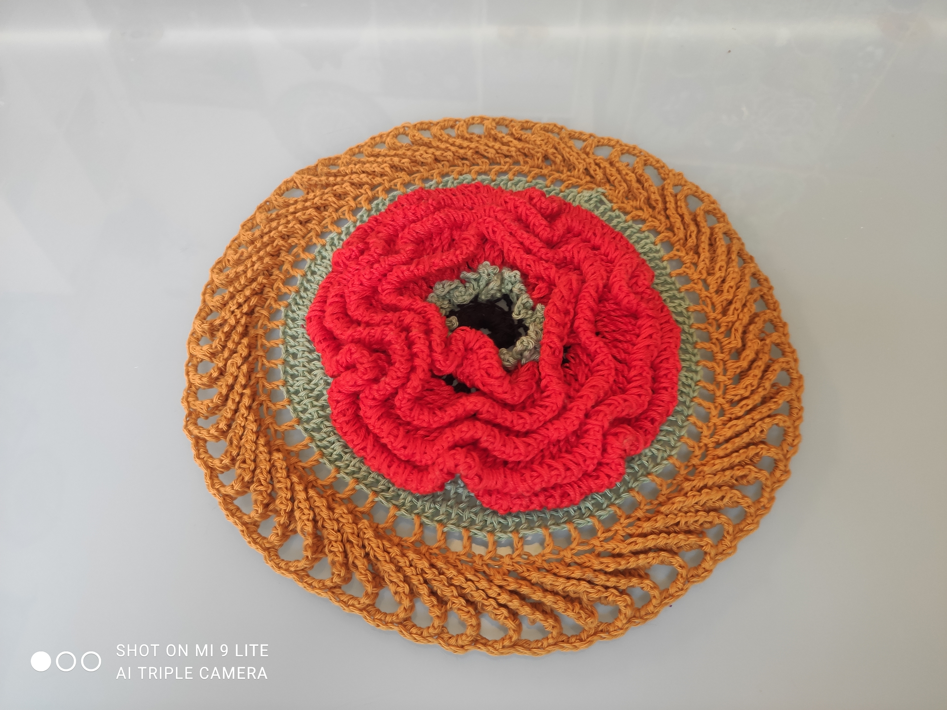 Coquelicots de jardin