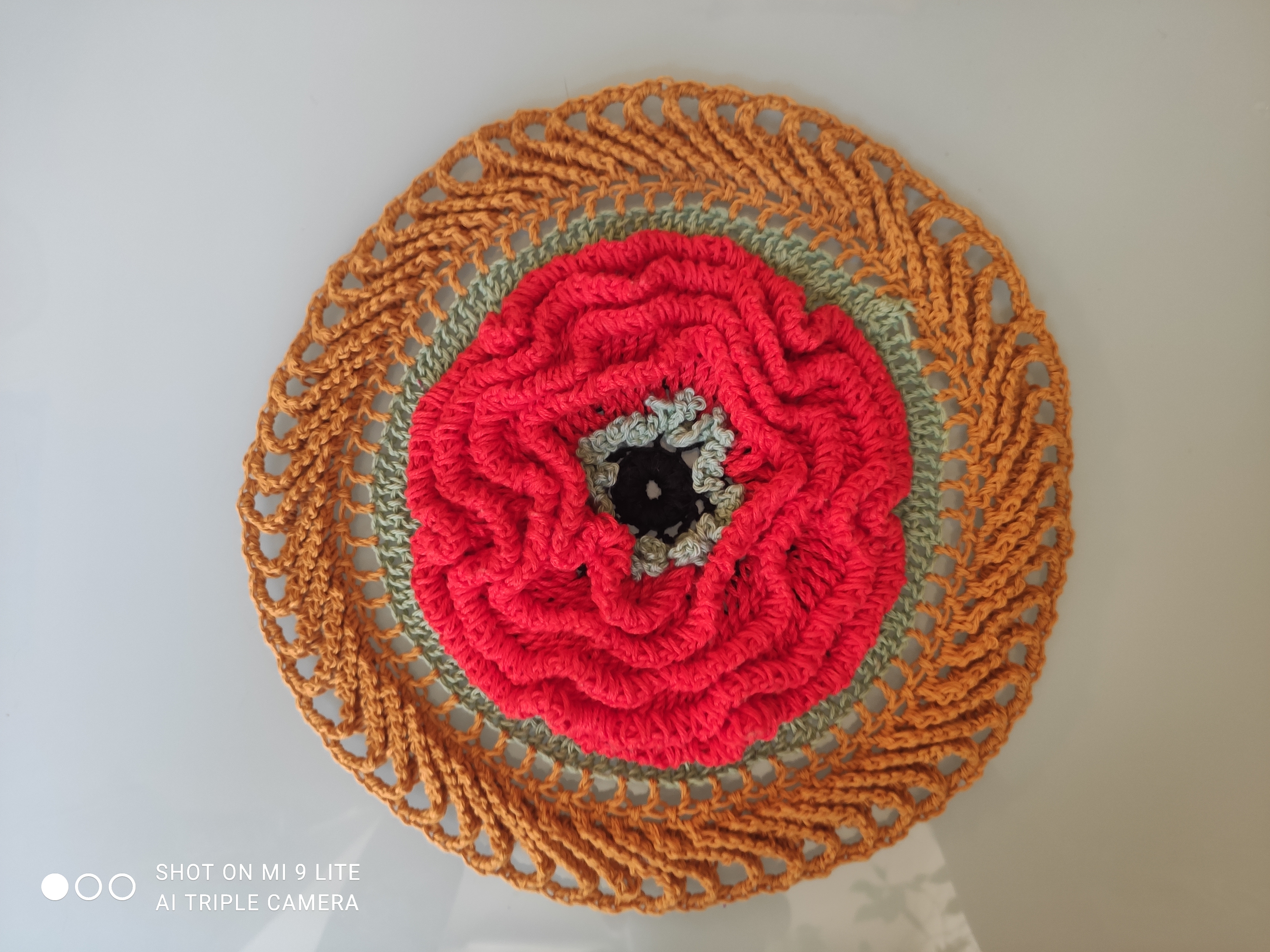 Coquelicots de jardin