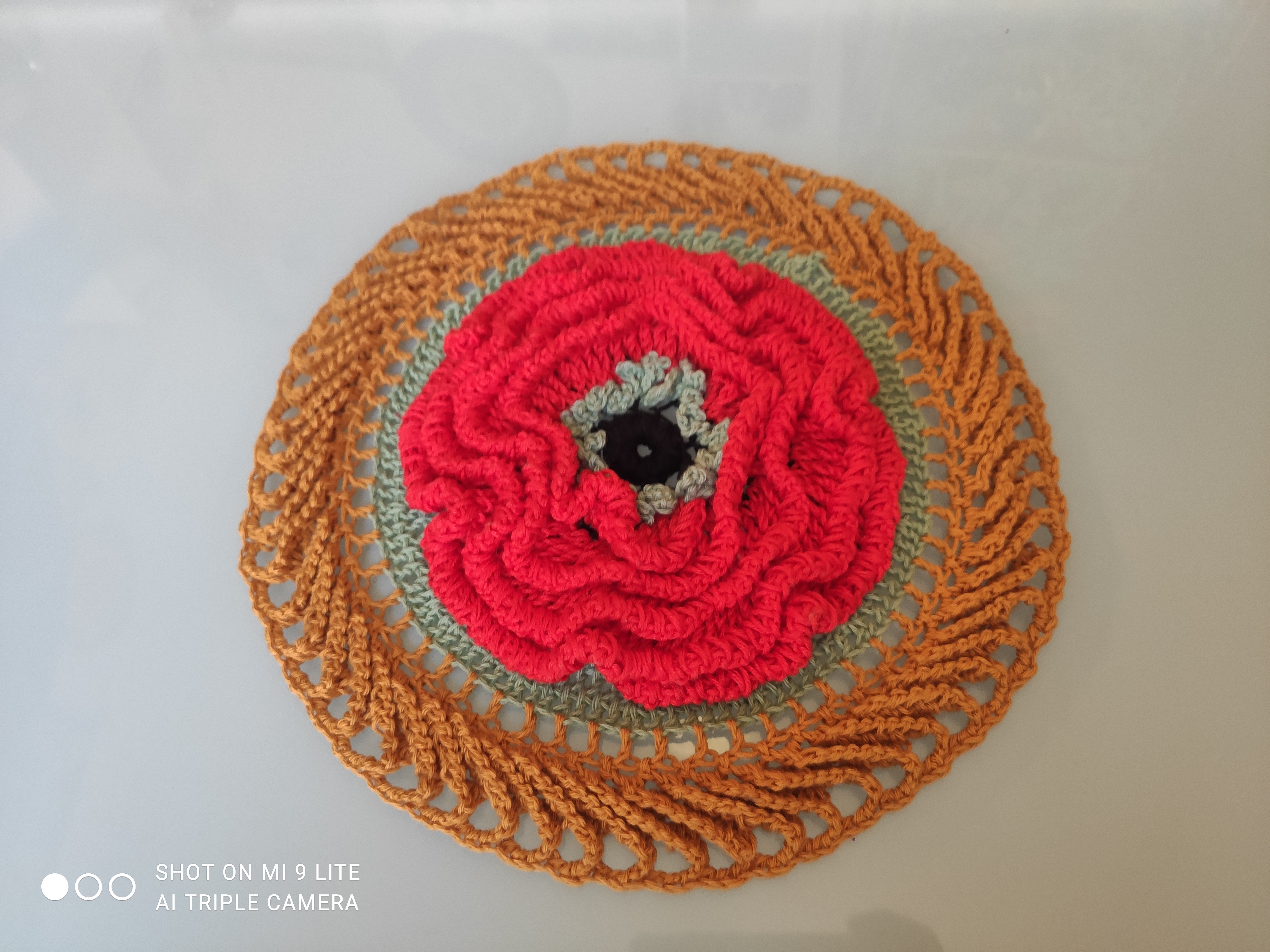 Coquelicots de jardin