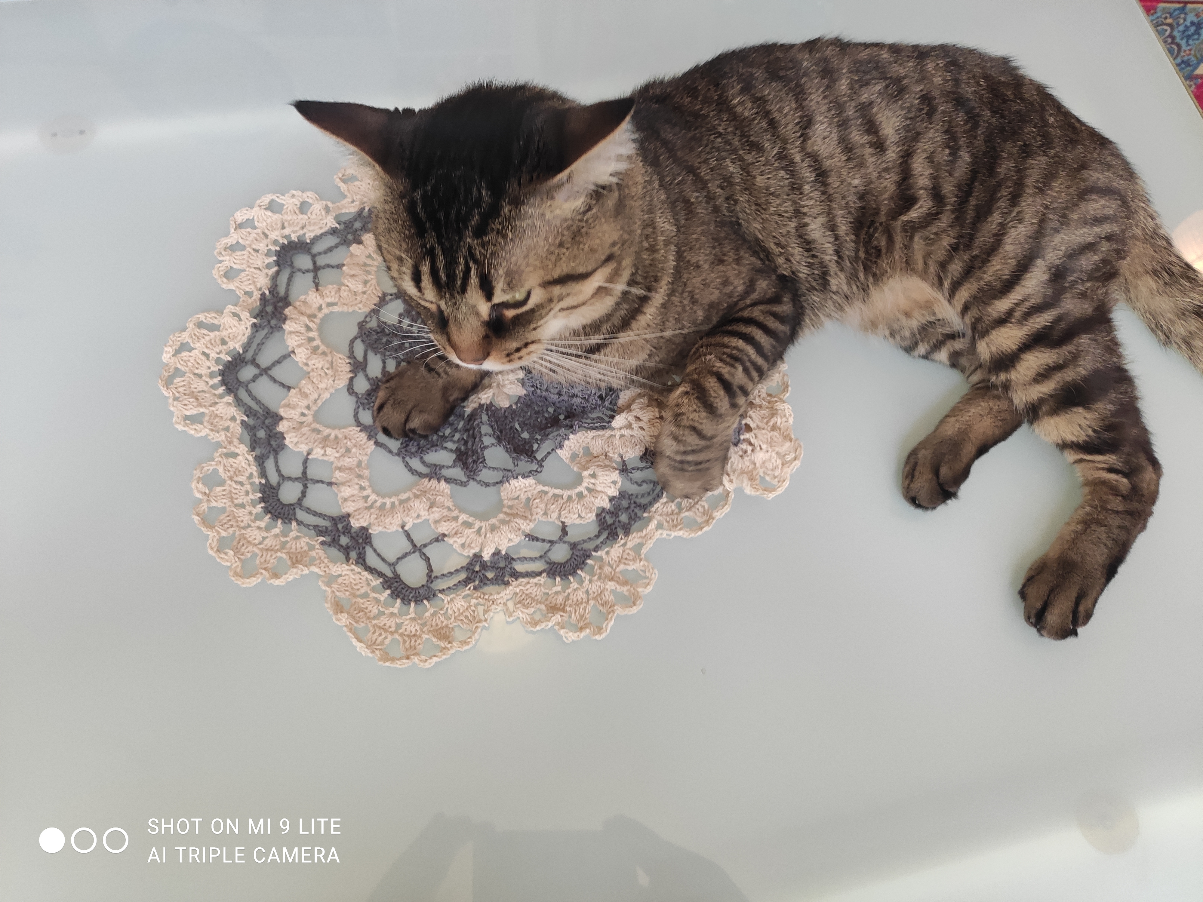 Grande fleur en dentelle 