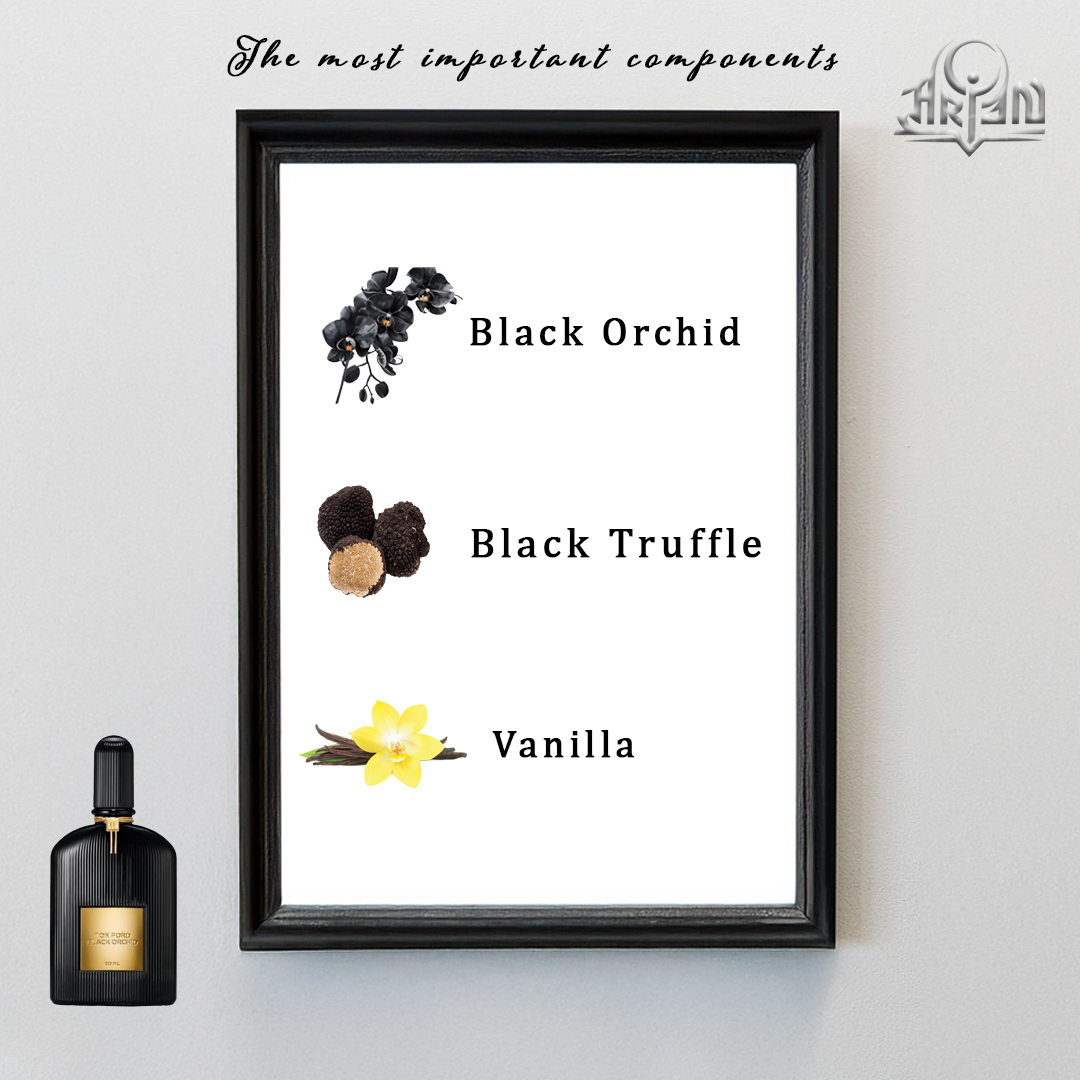 Tom Ford Black Orchid