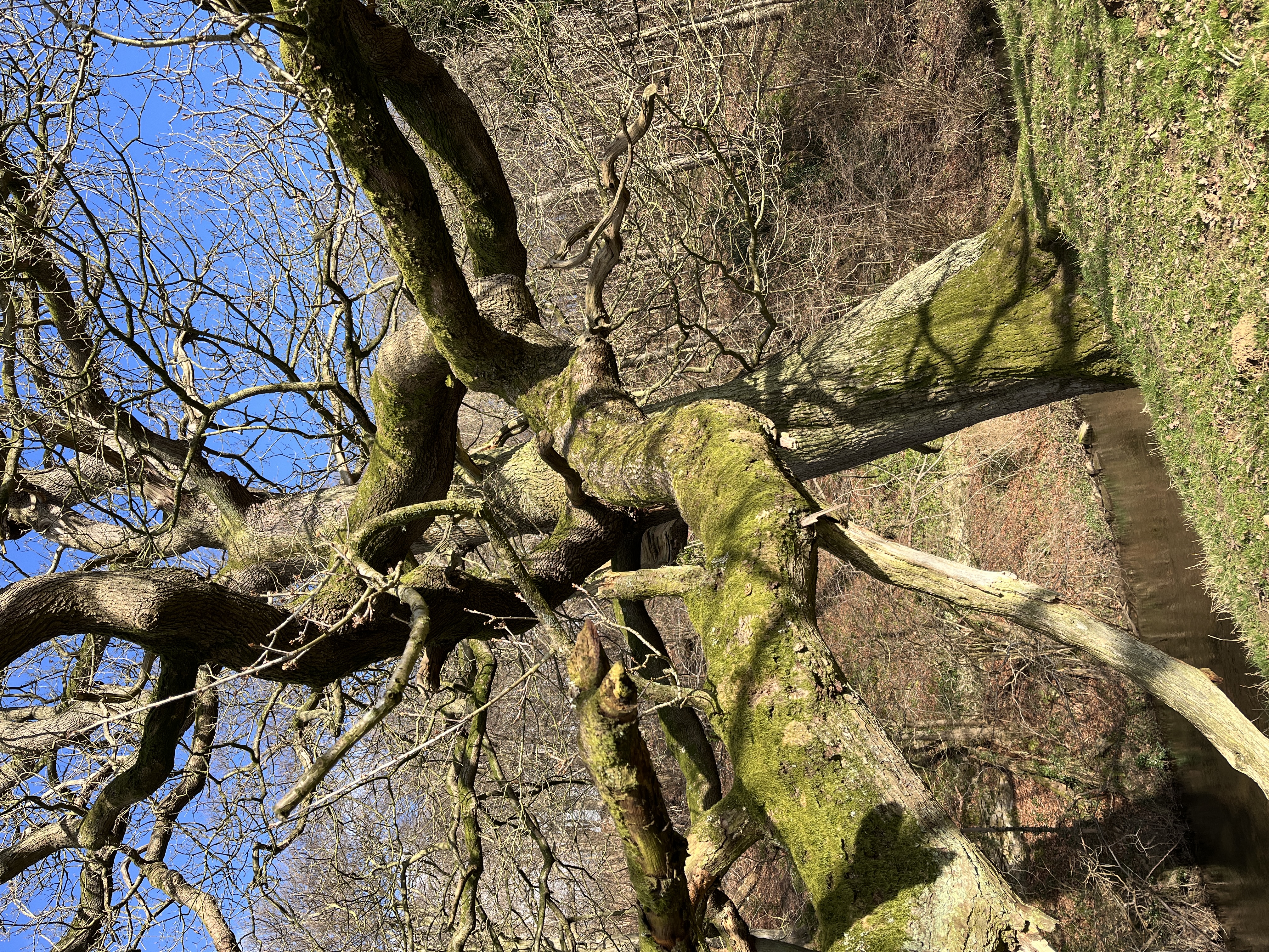 The Quayside, Wells-next-the-Sea