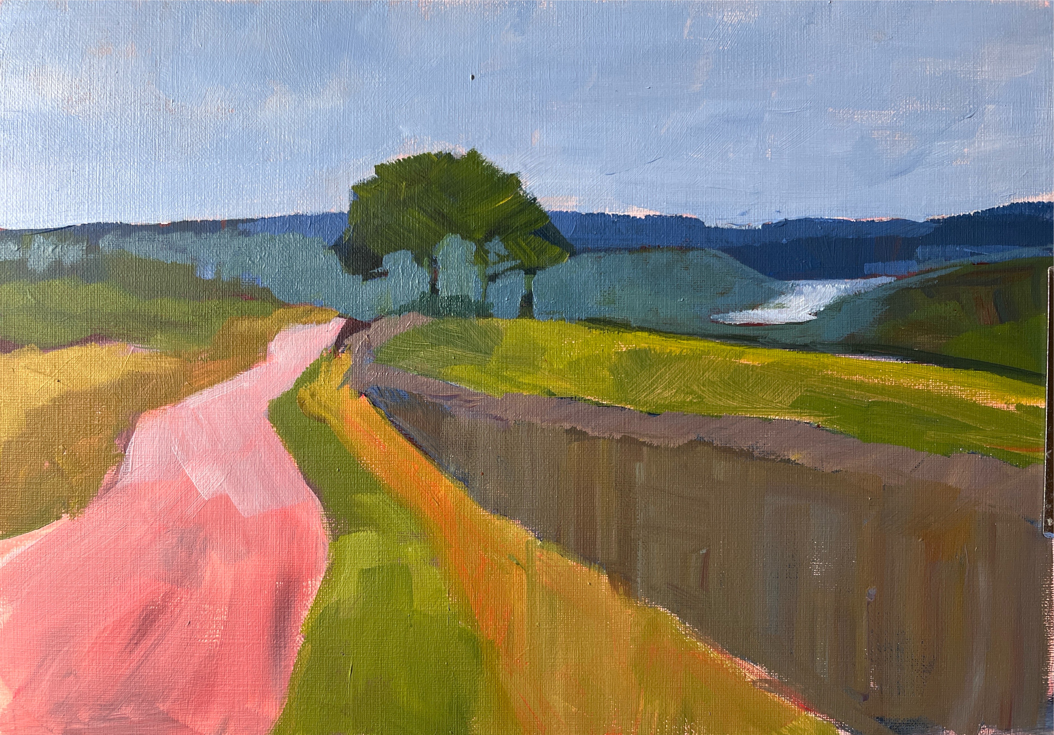 'Summer Colours' Nidderdale N Yorkshire