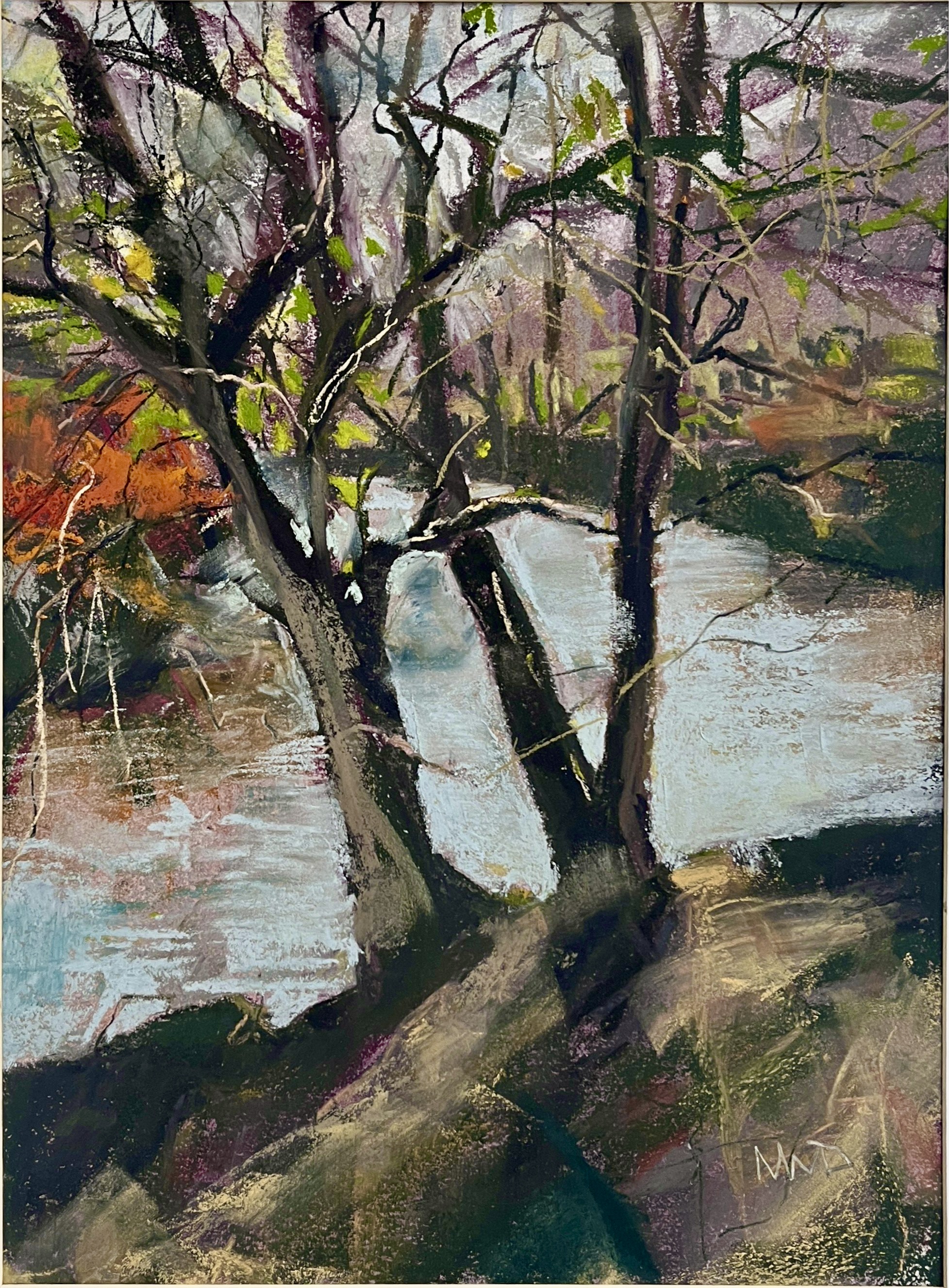 'The River Bank in Autumn' Duncombe Park N. Yorkshire