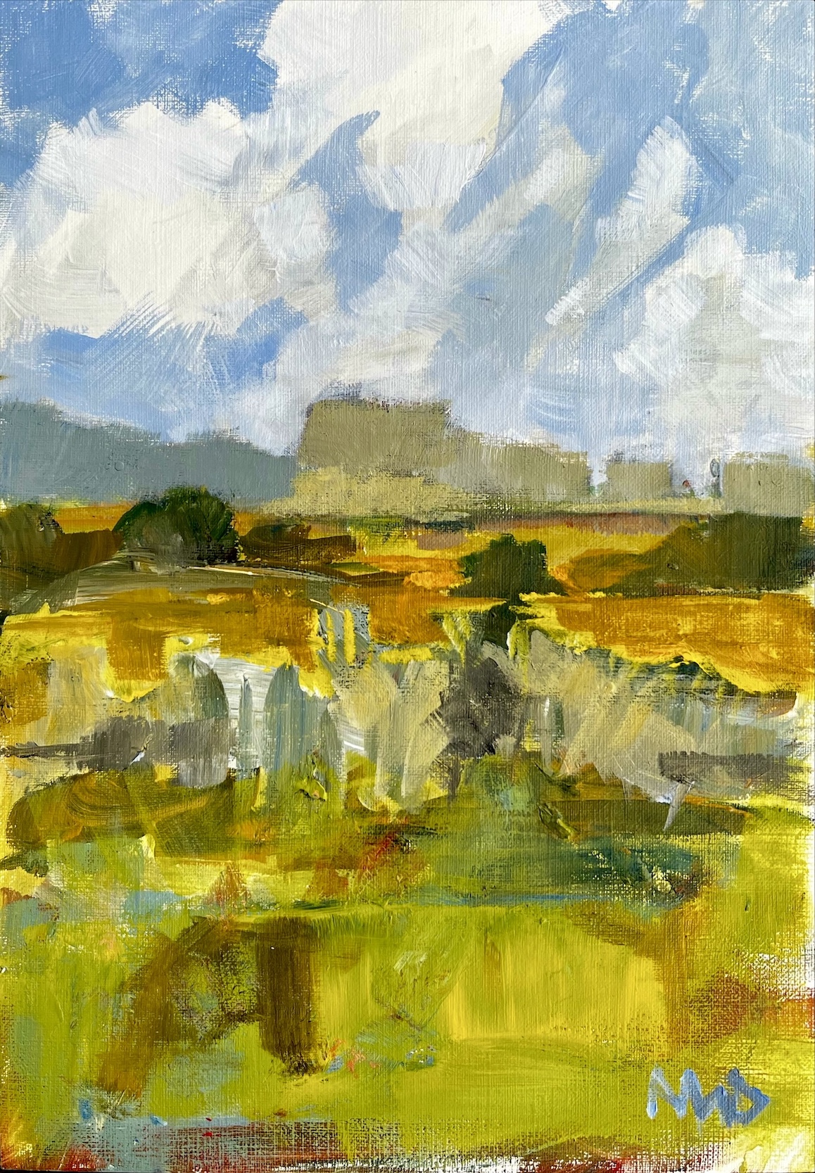 'Across the Marshes' Burnham Norton Norfolk