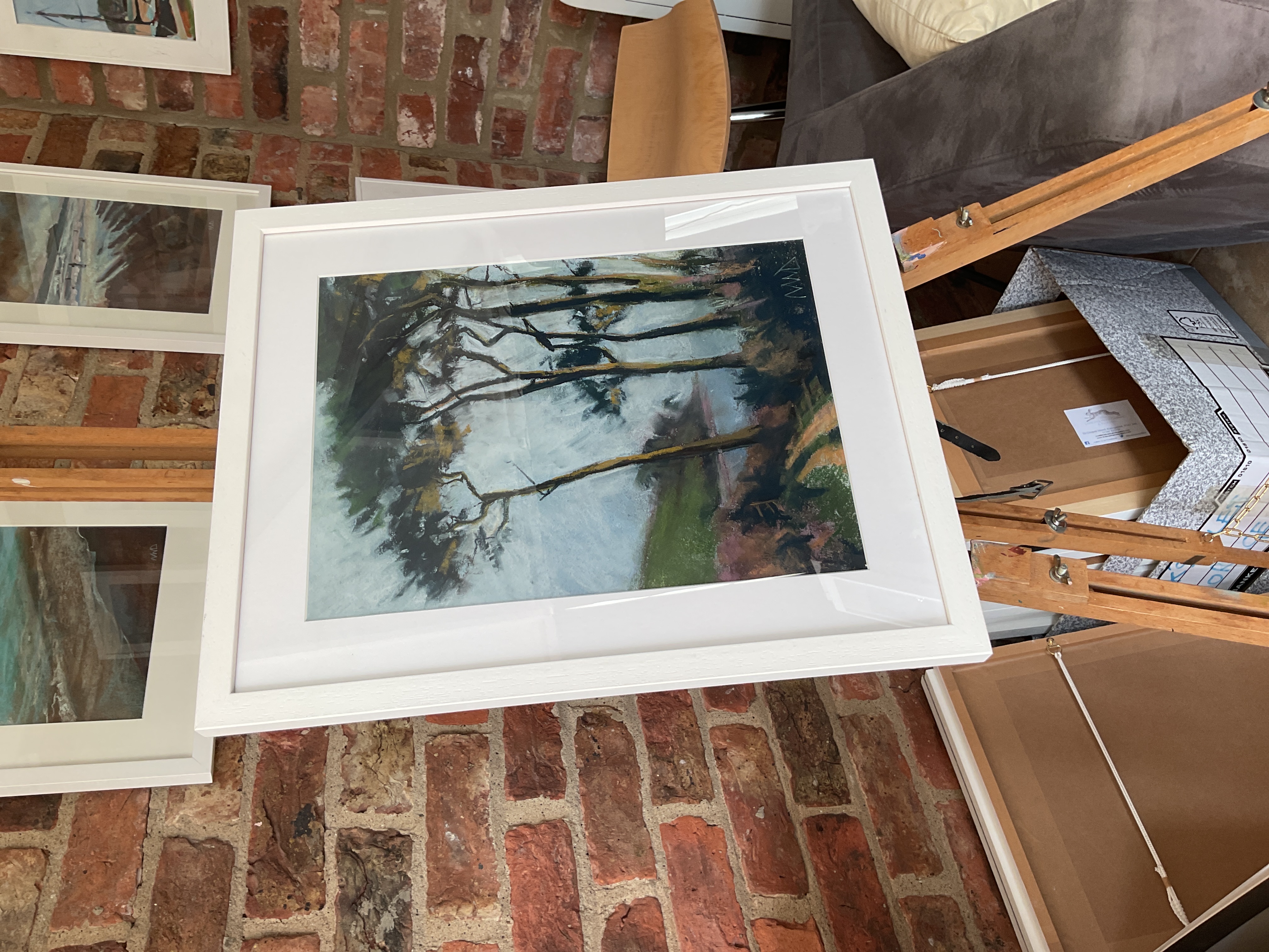 'Monterey Pines' Porth Saxon Beach