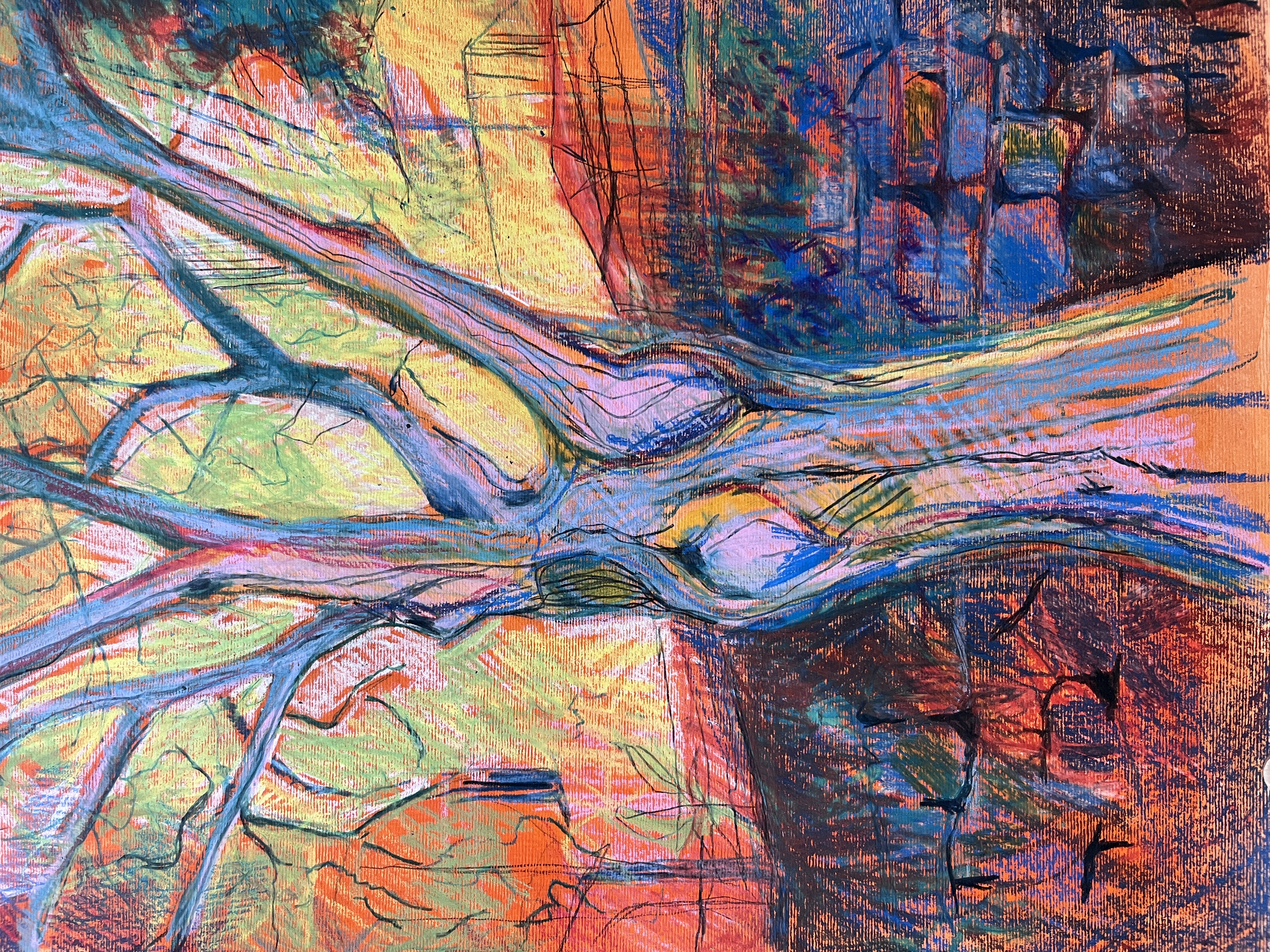 Le Vieux Noyer, Ardèche