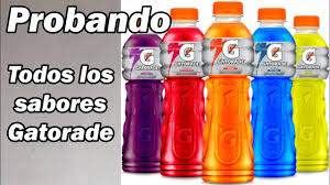Gatorade 600ml 6PZ