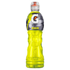 Gatorade 600ml 6PZ