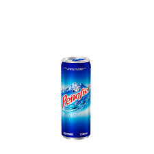 Agua Mineral Peñafiel Lata 355ml 12pz