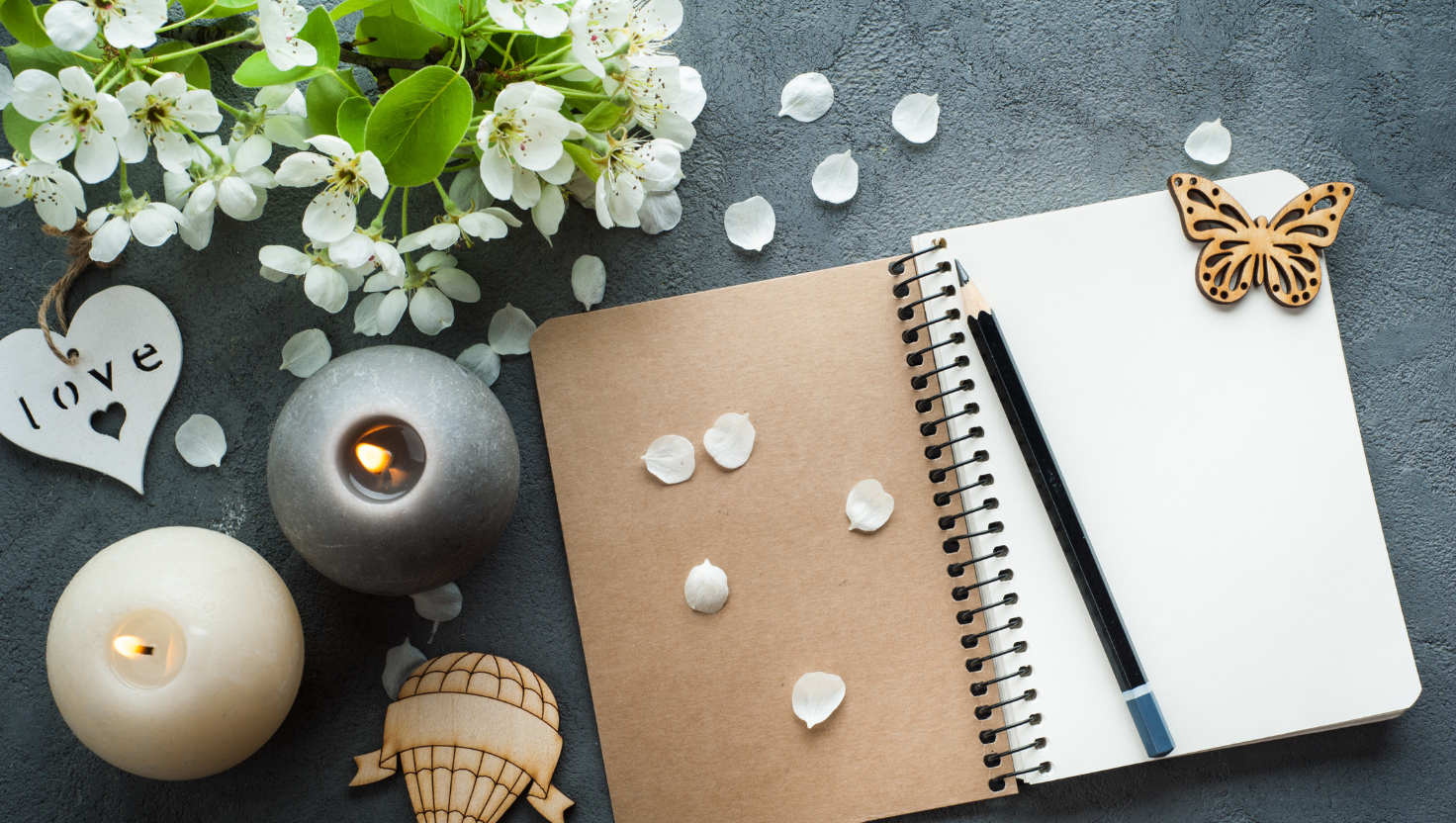 Life Design Program +PLUS