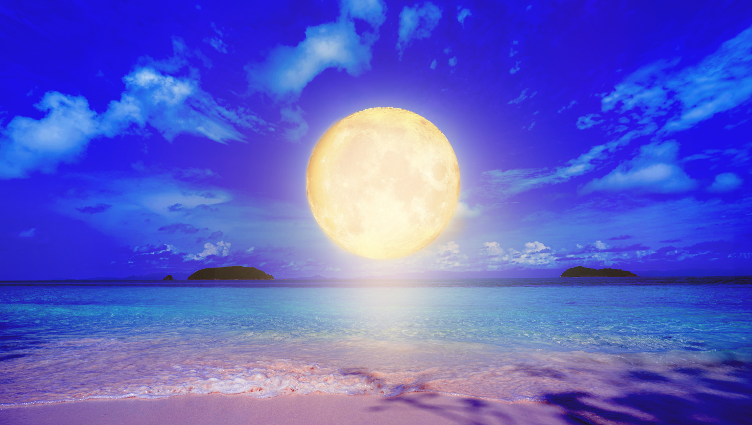 SpiritSpeak Transmissions