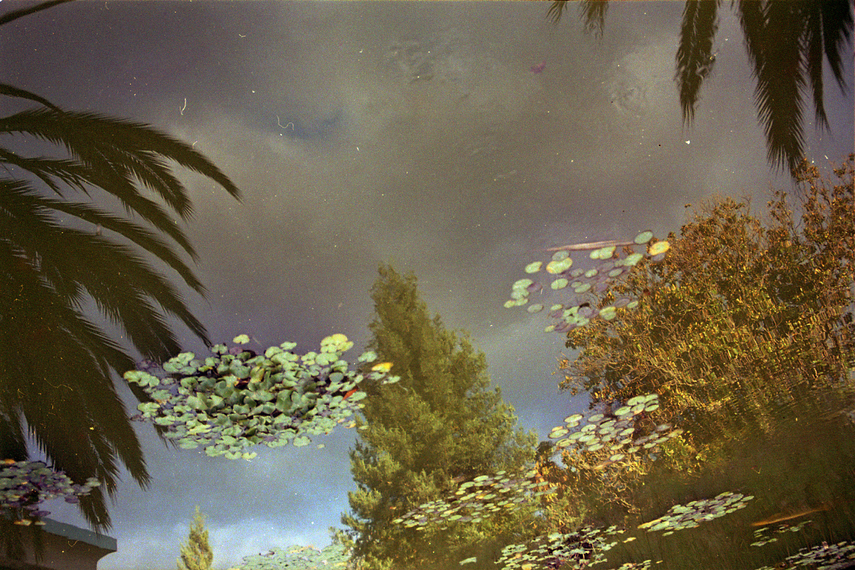 California Reflections