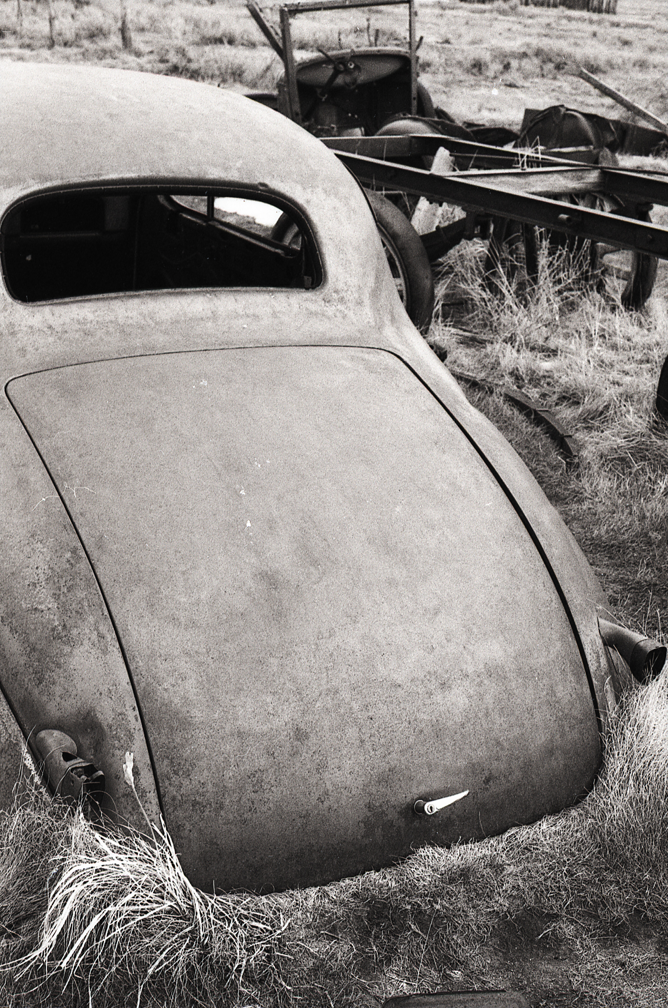 Hungry Car of the West