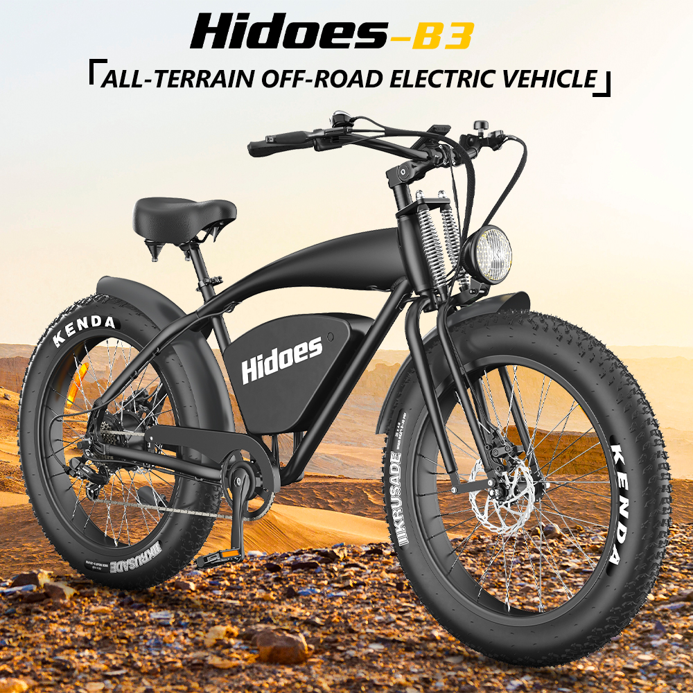 Hidoes B3 Fat-Tire E-Bike - Ride with Swagger!