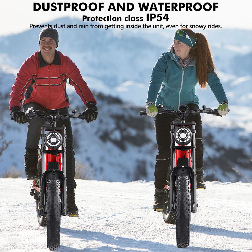 Hidoes B6 Fat-Tire E-Bike - Conquer Any Terrain in Style!