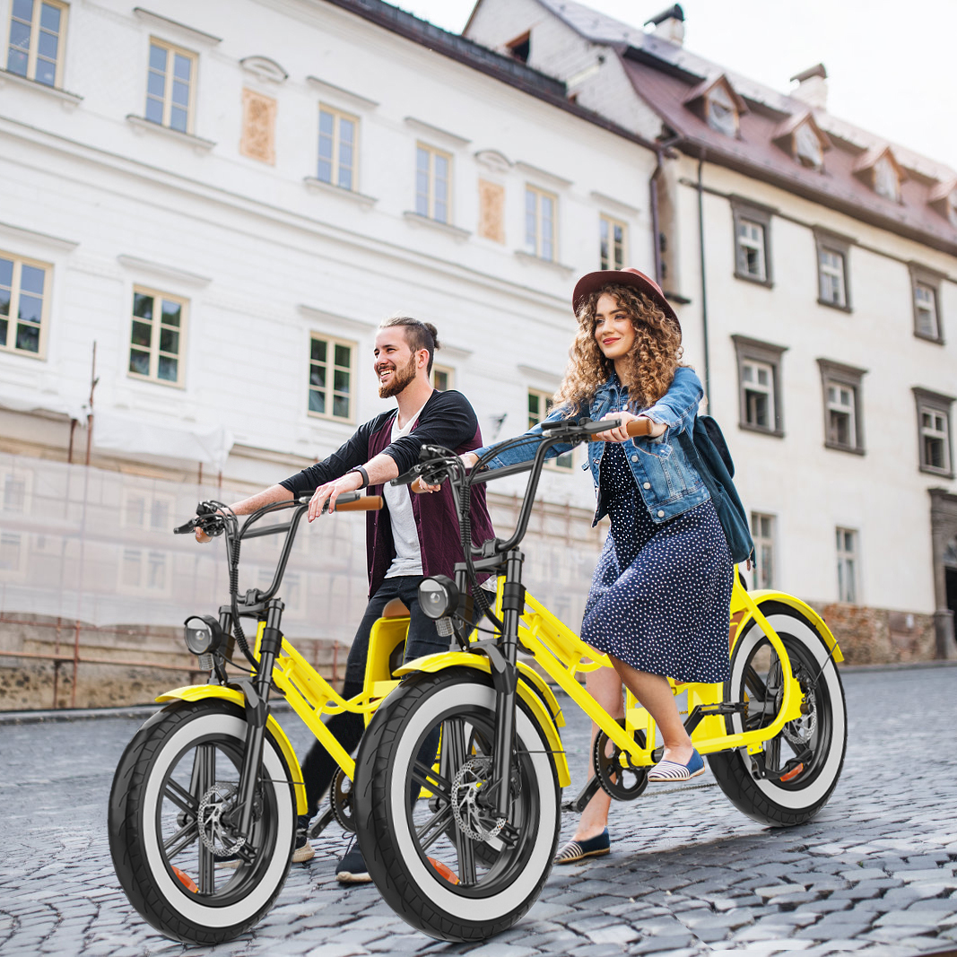Hidoes C8 Electric Bike - Ride in Style and Comfort!