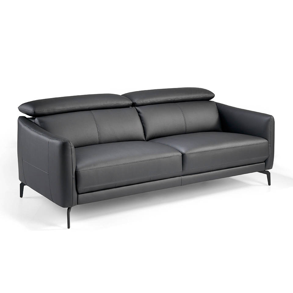 Modern Leather Sofa