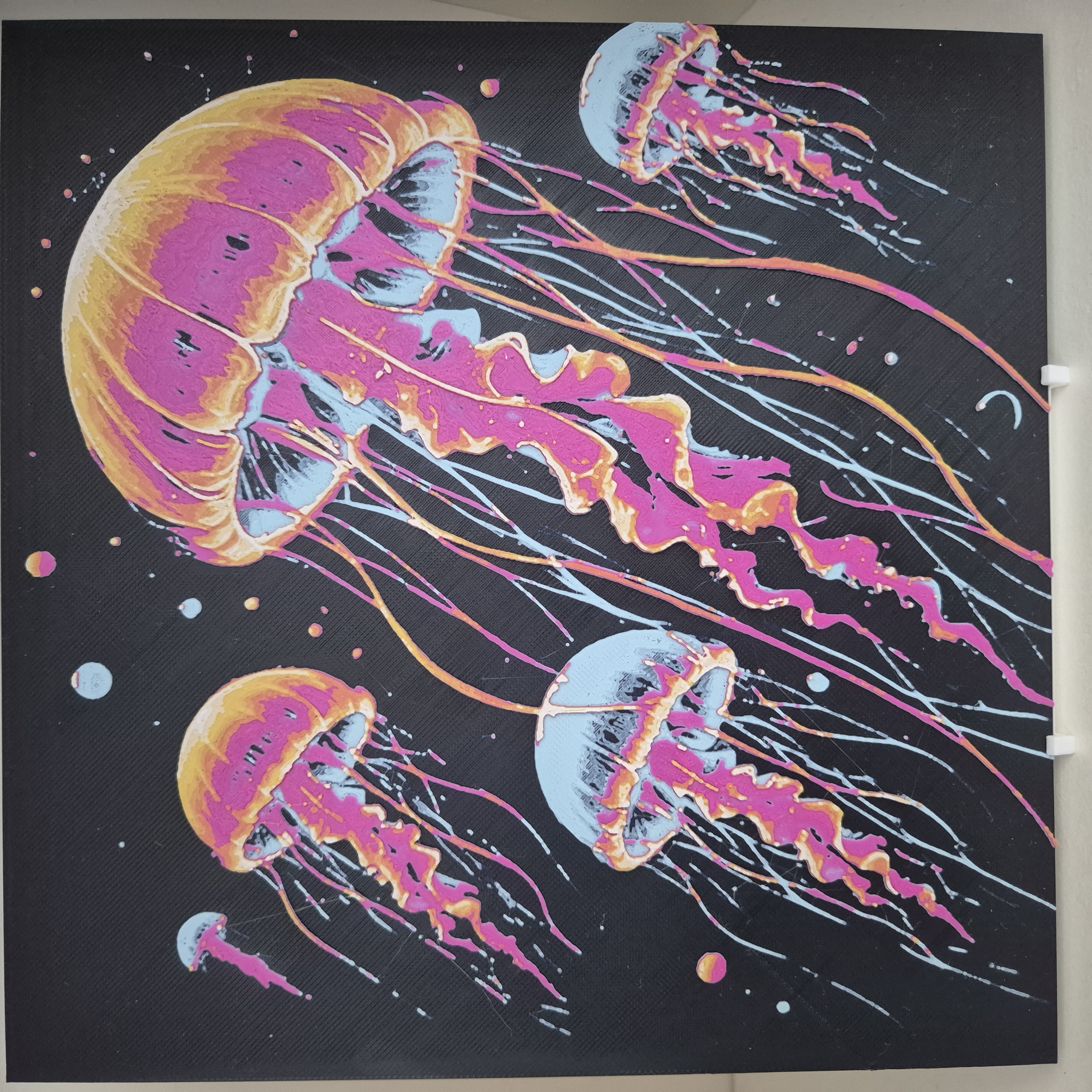 Méduses colorées
