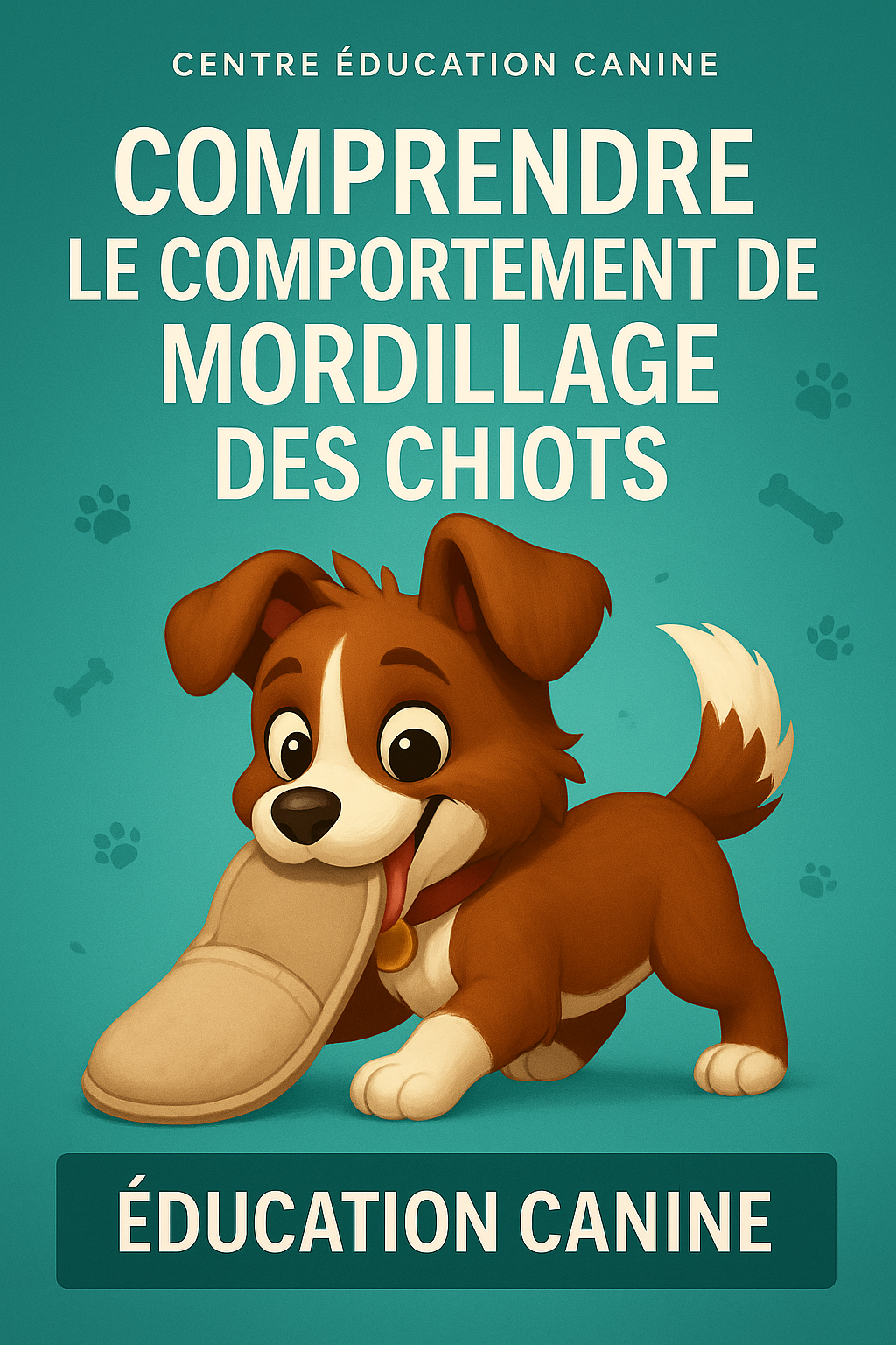 Comprendre le Comportement de Mordillage des Chiots