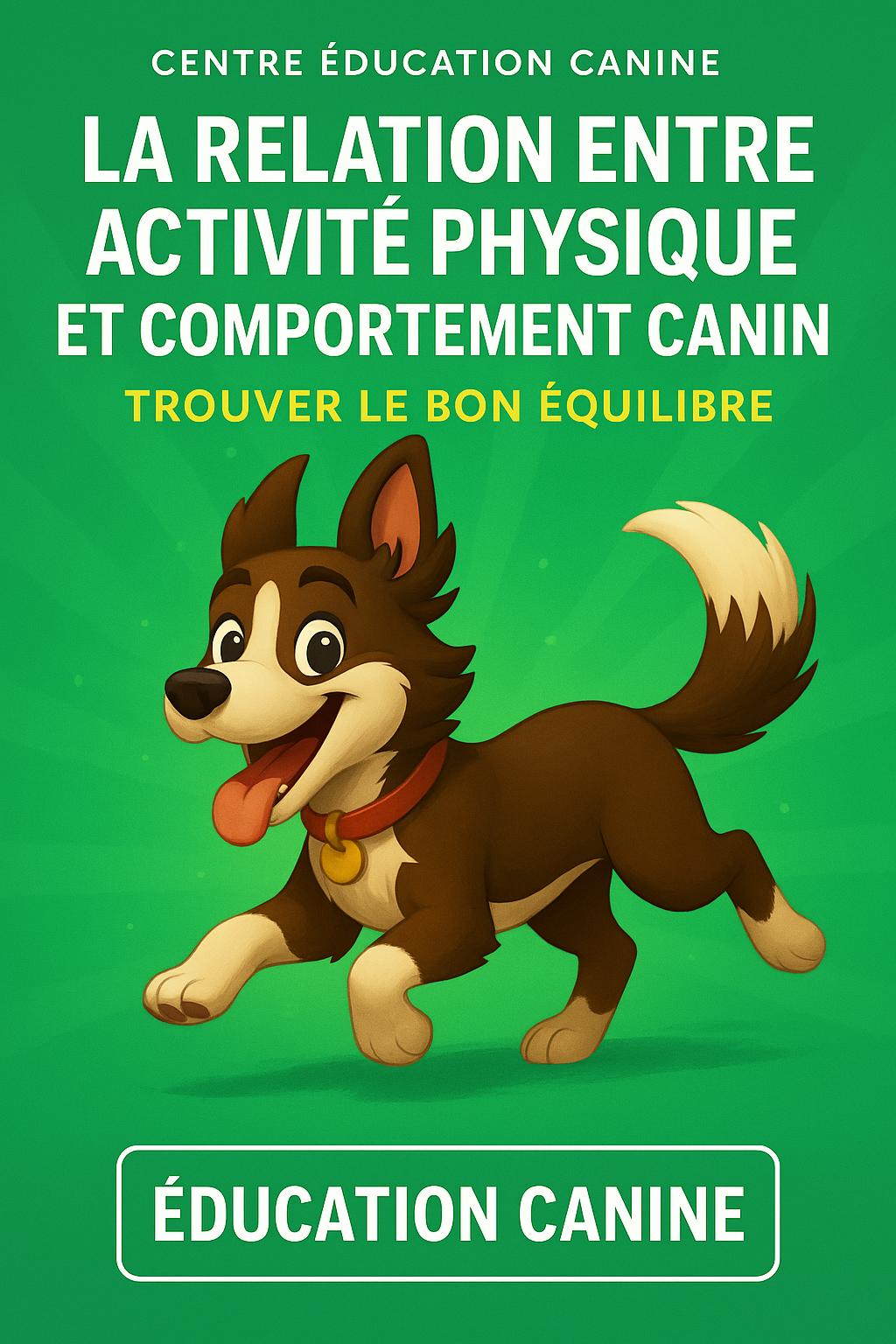 La Relation entre Activité Physique et Comportement Canin : Trouver le Bon Équilibre