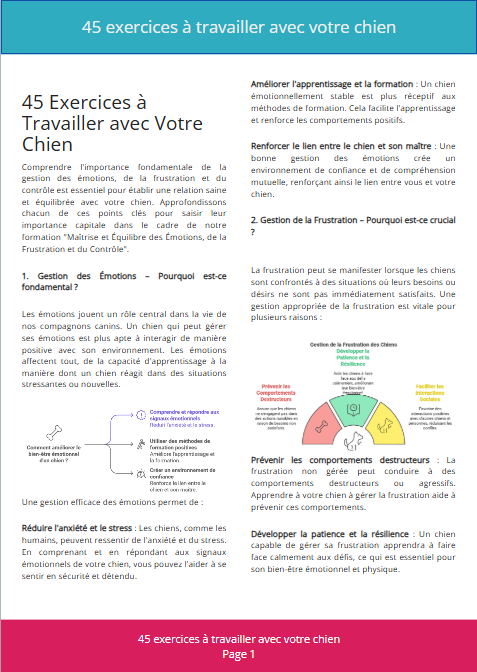 45 Exercices à Travailler avec Votre Chien