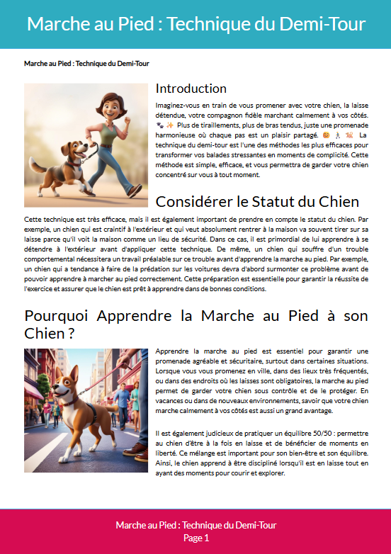 Marche au Pied : Technique du Demi-Tour
