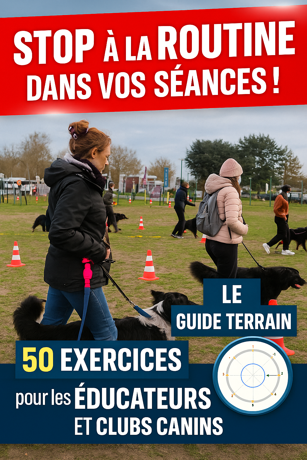 La Dynamique du Cercle, Fondements et Flexibilité en Entraînement Canin
