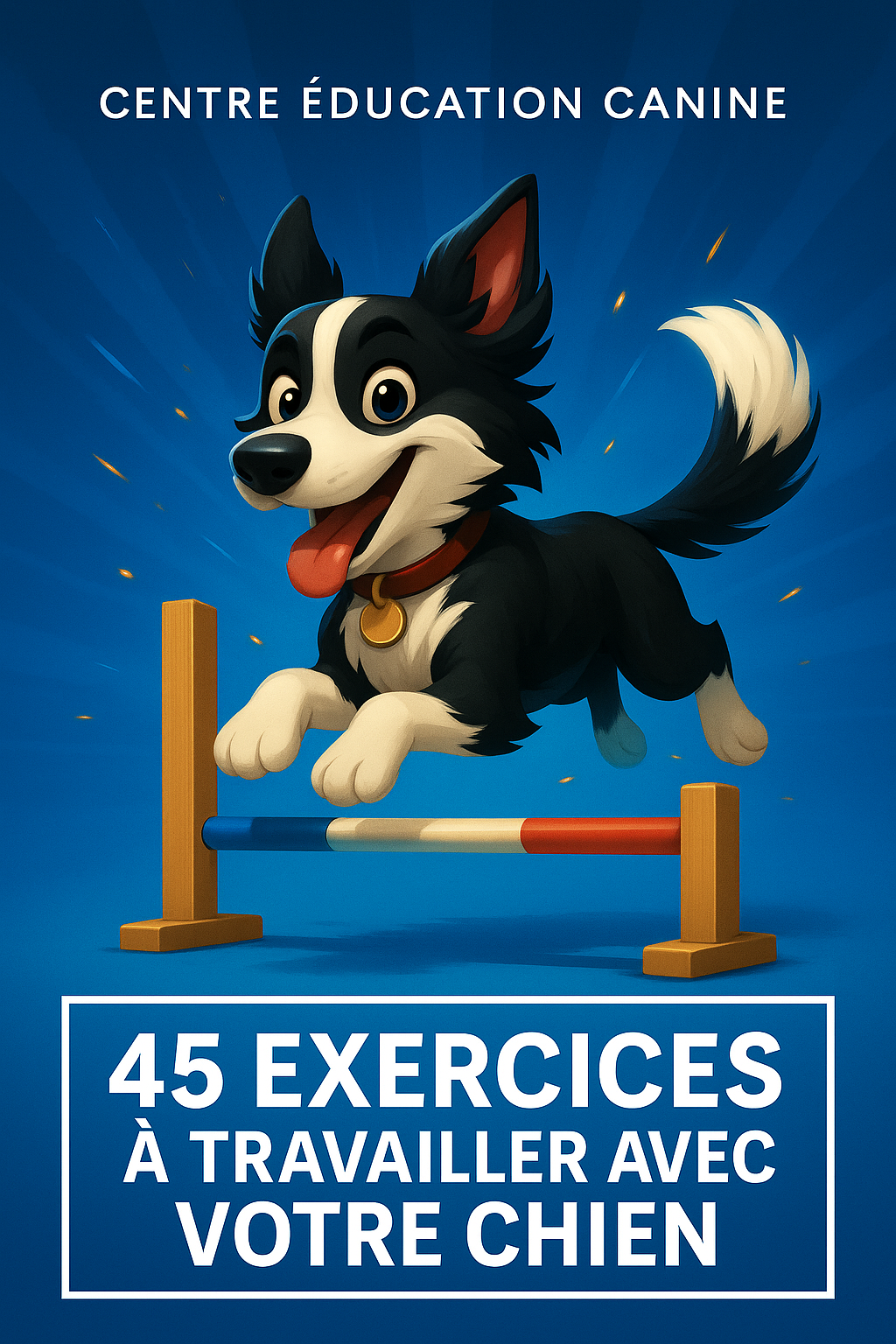 45 Exercices à Travailler avec Votre Chien
