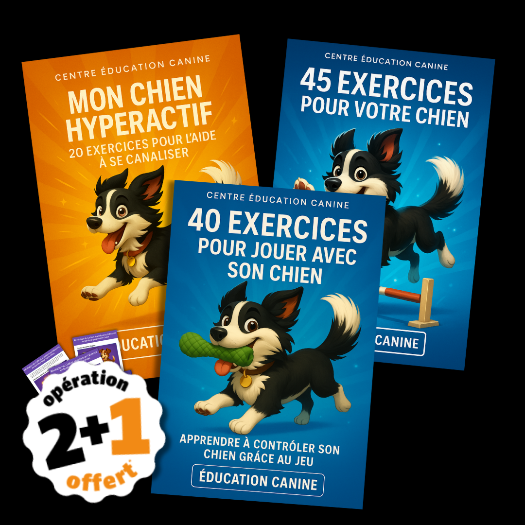Pack Spécial Éducation & Canalisation