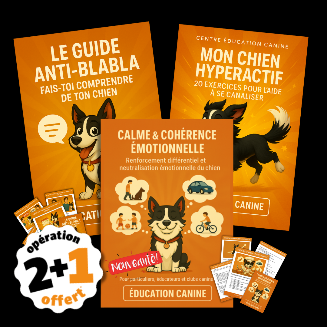 Pack 3 ebooks