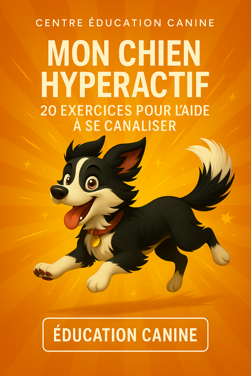 Pack Spécial Éducation & Canalisation