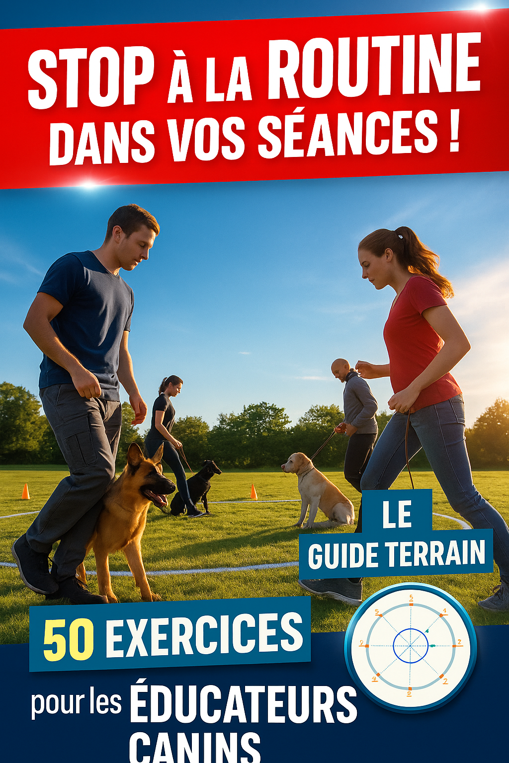 La Dynamique du Cercle, Fondements et Flexibilité en Entraînement Canin