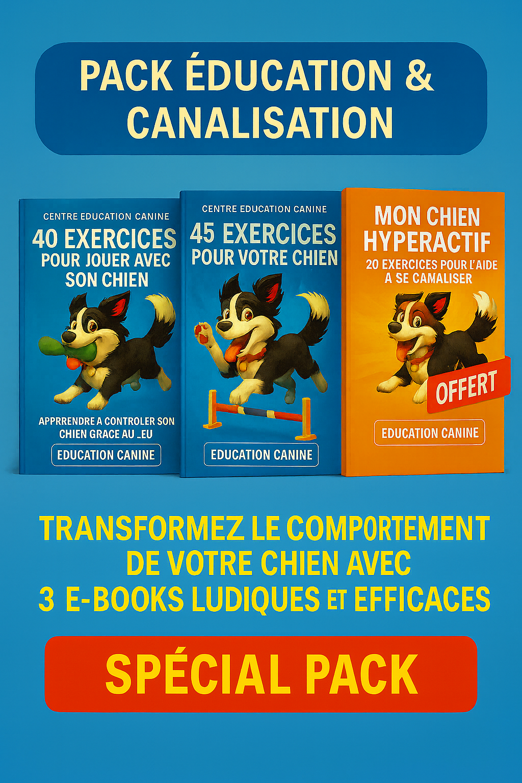 Pack Spécial Éducation & Canalisation