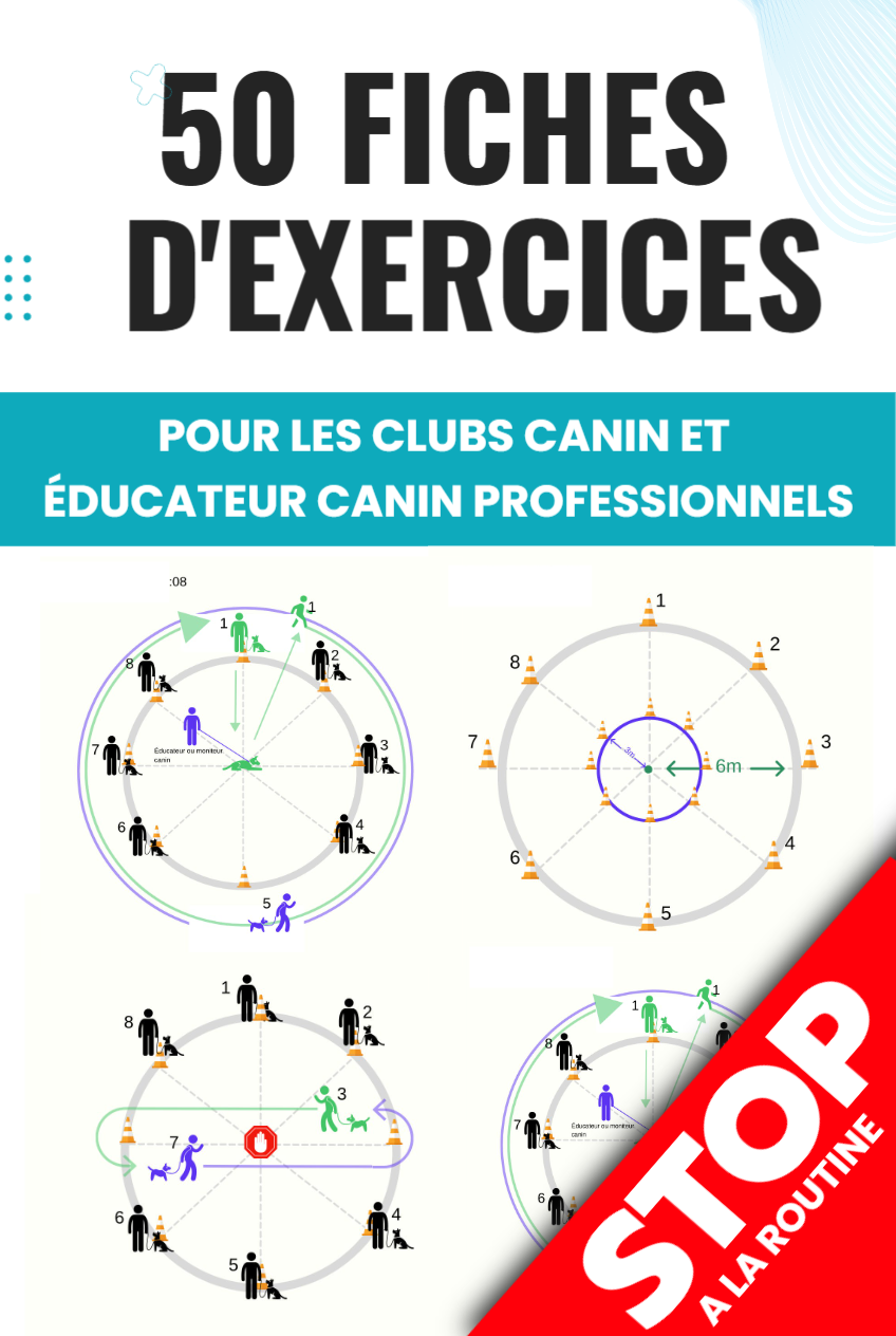 La Dynamique du Cercle, Fondements et Flexibilité en Entraînement Canin