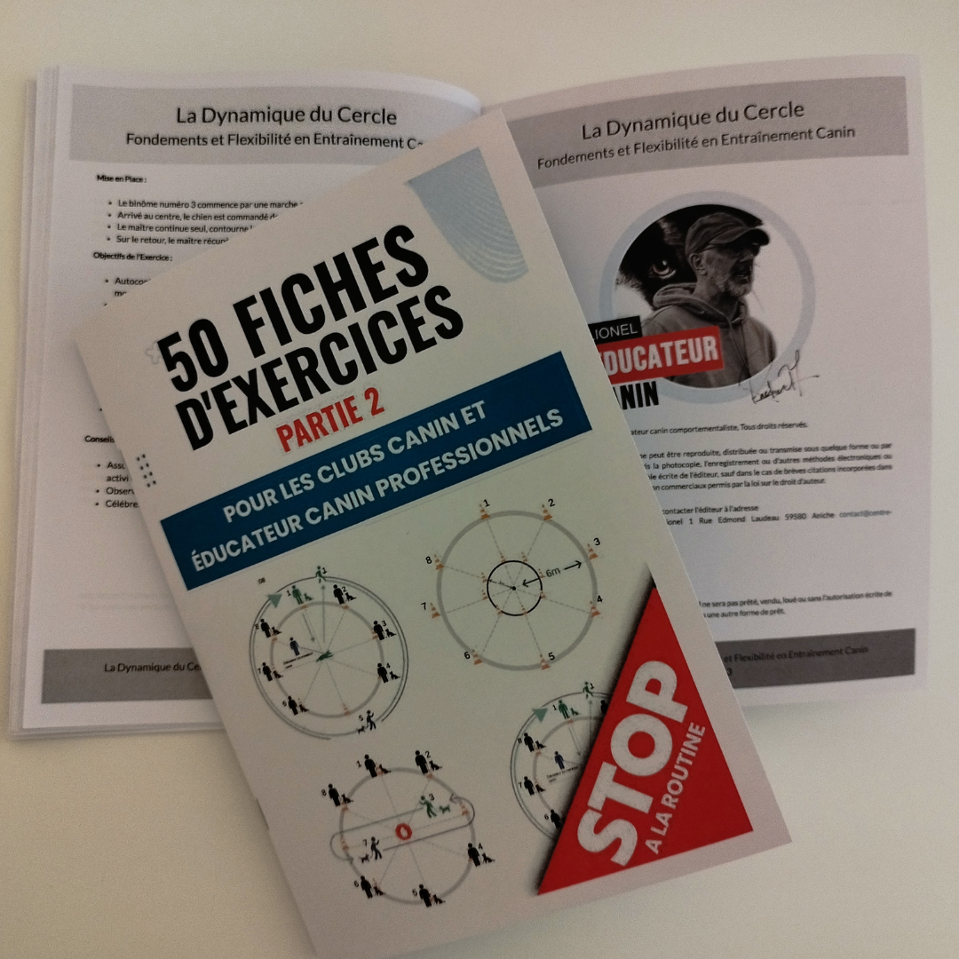 La Dynamique du Cercle, Fondements et Flexibilité en Entraînement Canin