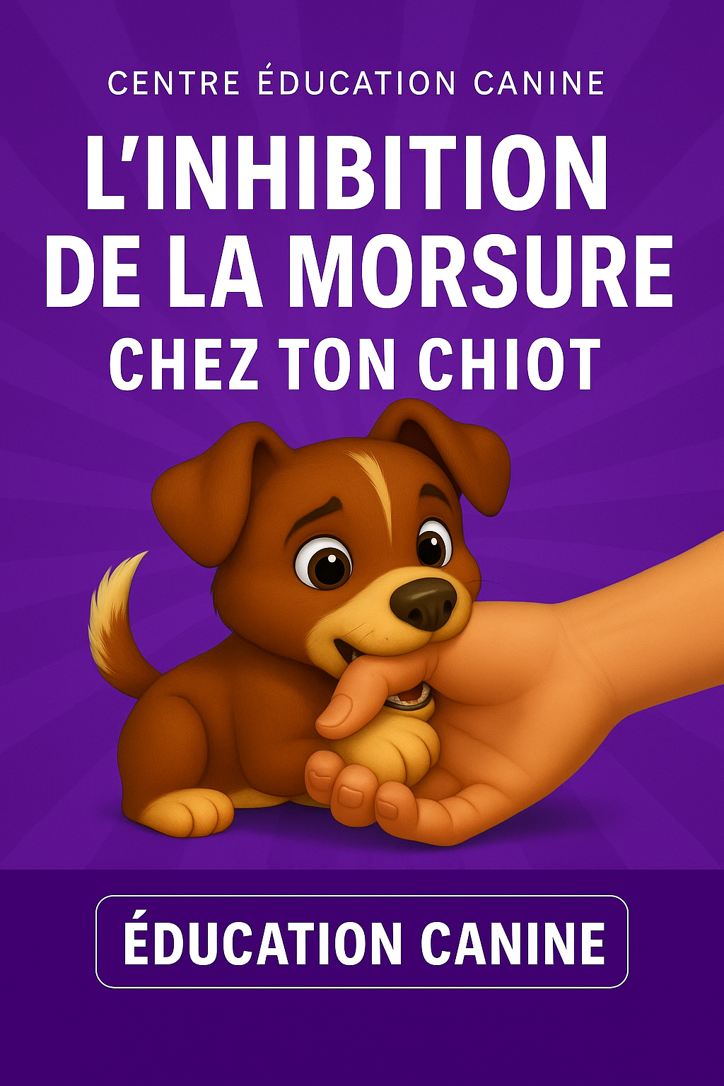 L’inhibition de la morsure chez ton jeune chiot