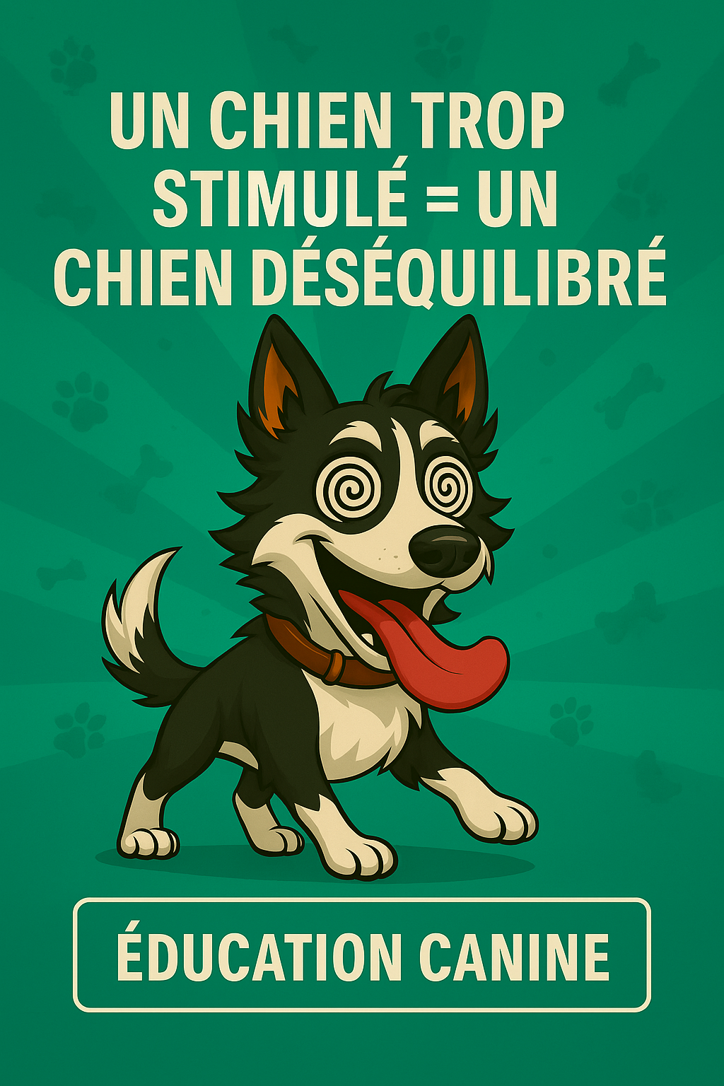 Un chien trop stimulé = un chien déséquilibré