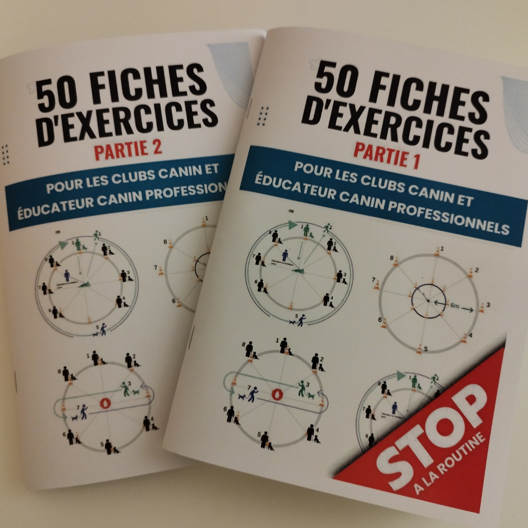 La Dynamique du Cercle, Fondements et Flexibilité en Entraînement Canin