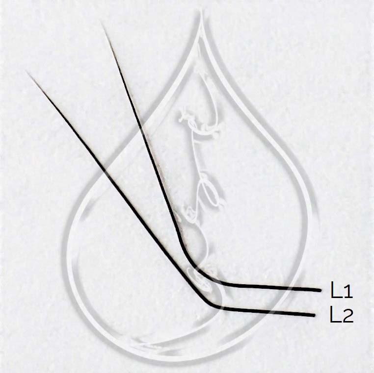 "Lašė" L linkio blakstienos, 0.07mm, juodos