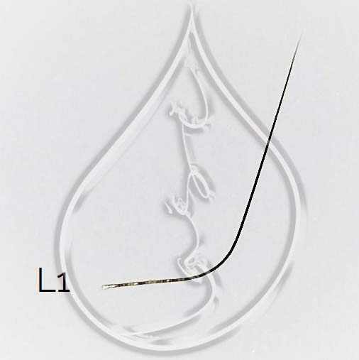 "Lašė" L linkio rudos blakstienos, 0.07mm